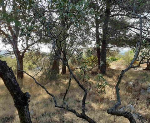 Construction land with sea views just 500 meters from the sea on Solta island! - pic 19