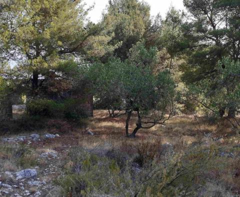 Construction land with sea views just 500 meters from the sea on Solta island! - pic 21