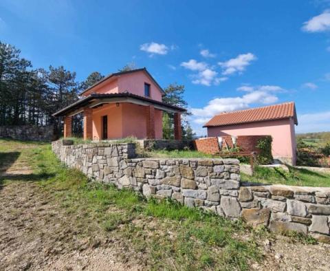 Fantastique domaine à Buzet comprenant 4 immeubles résidentiels et un immeuble d'affaires-résidentiel, vue dégagée sur la nature et le lac - pic 5