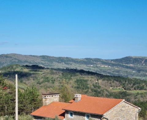 Fantastic estate in Buzet with 4 residential buildings and one business-residential building, open view of nature and the lake - pic 38