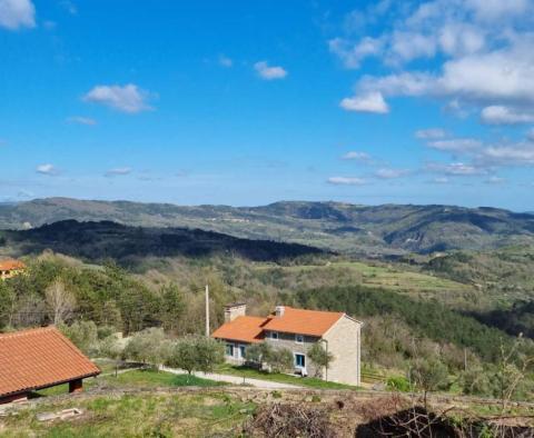 Fantastic estate in Buzet with 4 residential buildings and one business-residential building, open view of nature and the lake - pic 63