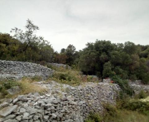 Wunderschönes Grundstück mit offenem Meerblick auf der Insel Korcula - foto 6