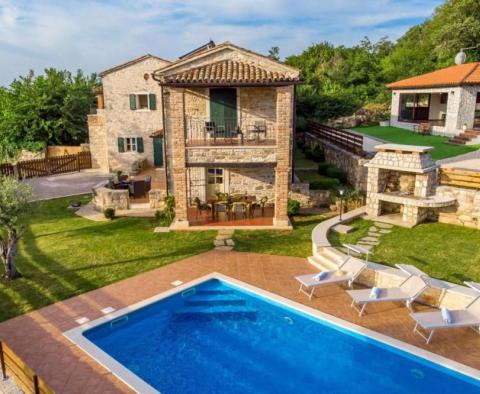 Istrian rustic villa with swimming pool in Tinjan - pic 2
