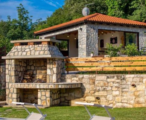 Istrian rustic villa with swimming pool in Tinjan - pic 7