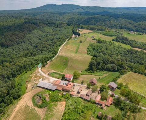 Velká nemovitost s dobře zavedenou firmou! 40 hektarů půdy v Blatuši! 