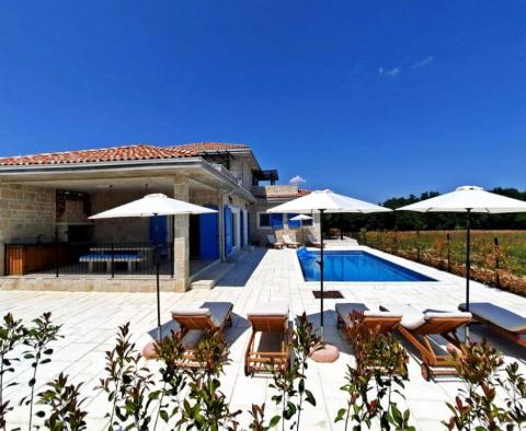 Villa en pierre avec piscine et grand jardin à Kanfanar, région de Rovinj - pic 3