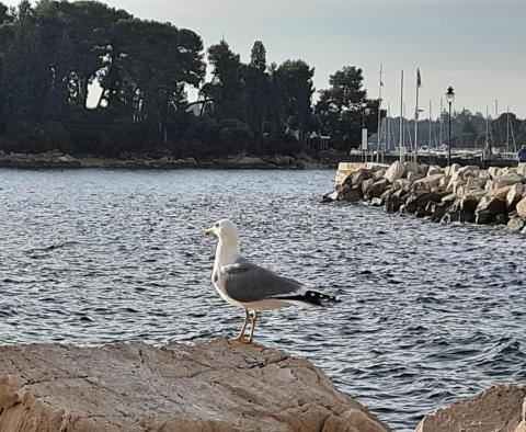 Great new penthouse in Rovinj in a new boutique residence 1 km from the sea - pic 36