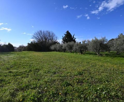 Land in Medulin, only 400 meters from the sea 