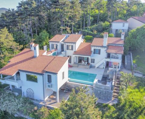 Villa Veprinacban, Opatija medencével és gyönyörű kilátással a tengerre - pic 48