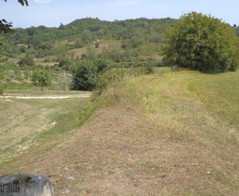 Land  plot of over 1 hectare in surface in Novaki Motovunski, Karojba - pic 2