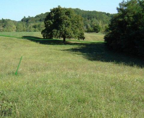 Land  plot of over 1 hectare in surface in Novaki Motovunski, Karojba - pic 4