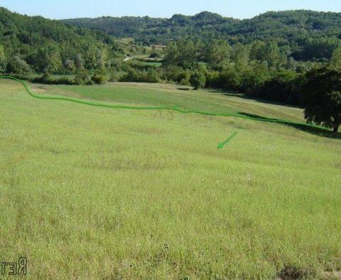 Land  plot of over 1 hectare in surface in Novaki Motovunski, Karojba - pic 5