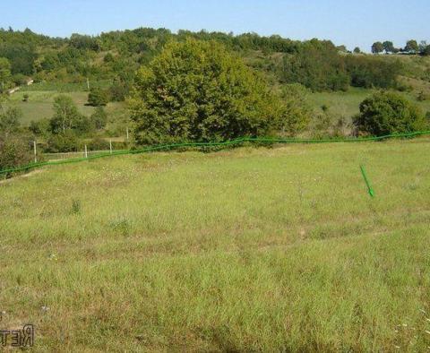 Land  plot of over 1 hectare in surface in Novaki Motovunski, Karojba - pic 6