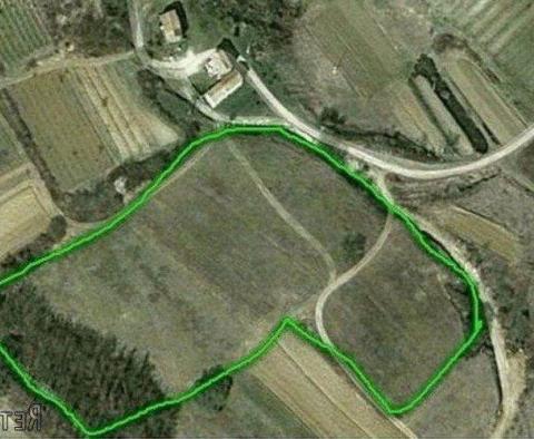 Land  plot of over 1 hectare in surface in Novaki Motovunski, Karojba - pic 7