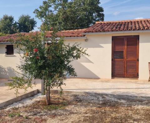 Propriété à prix réduit dans la région de Rovinj - deux maisons dans une zone isolée avec 6 853 m2 de jardin - pic 2