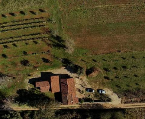 Nieruchomość ze zniżką w rejonie Rovinj - dwa domy w zacisznej okolicy z ogrodem o powierzchni 6853 m2 - pic 19