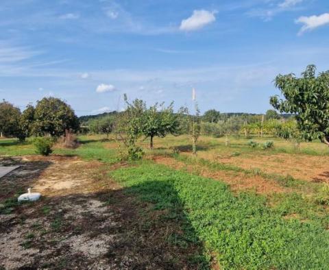 Reduzierte Immobilien in der Gegend von Rovinj - zwei Häuser in einer abgeschiedenen Gegend mit 6.853 m2 Garten - foto 26