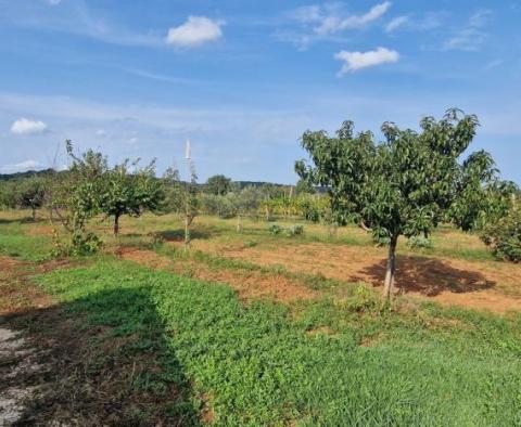 Propriété à prix réduit dans la région de Rovinj - deux maisons dans une zone isolée avec 6 853 m2 de jardin - pic 27