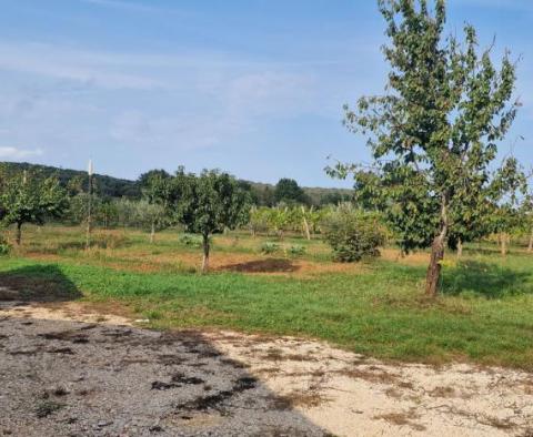 Reduzierte Immobilien in der Gegend von Rovinj - zwei Häuser in einer abgeschiedenen Gegend mit 6.853 m2 Garten - foto 29