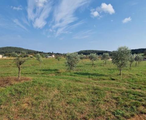 Reduzierte Immobilien in der Gegend von Rovinj - zwei Häuser in einer abgeschiedenen Gegend mit 6.853 m2 Garten - foto 31