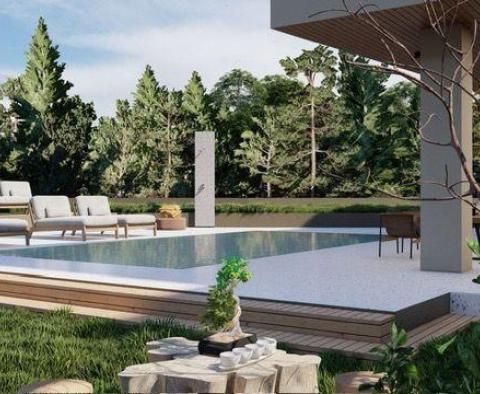 Maison de luxe avec piscine dans la région de Rovinj - pic 15