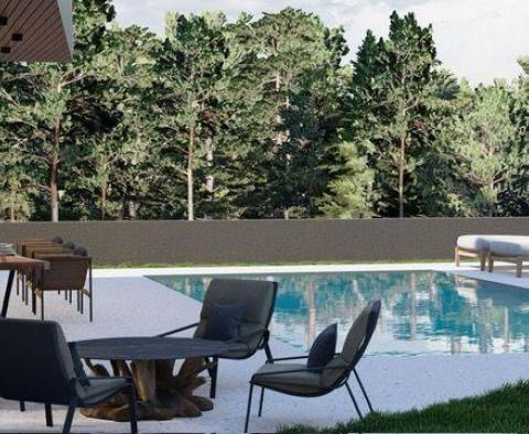 Maison de luxe avec piscine dans la région de Rovinj - pic 23