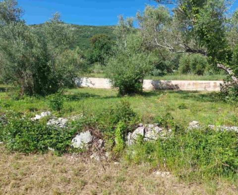 Land plot with sea views in Drenje, Raša - pic 5