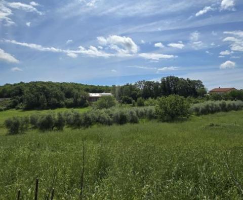 Cheap urban land just 6 km from Rovinj 
