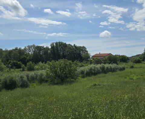 Cheap urban land just 6 km from Rovinj - pic 3