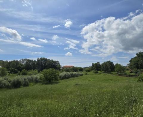 Cheap urban land just 6 km from Rovinj - pic 5
