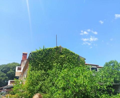 Stone house in Valbandon, Fažana just 1,5 km from the sea - pic 7