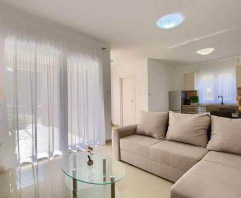 Propriété solide à Liznjan, avec 3 appartements spacieux et jardin ! - pic 23