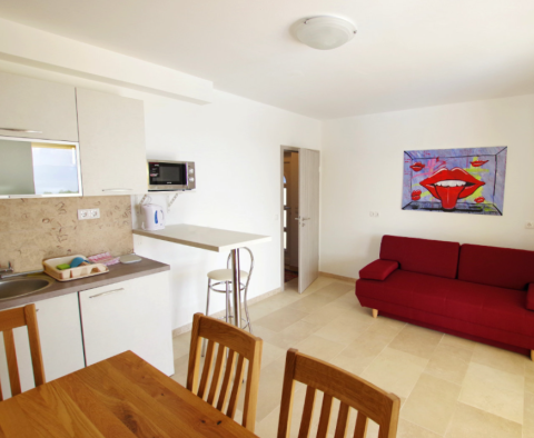 Appartement à Rabac, Labin, avec une vue fantastique sur la mer - pic 28