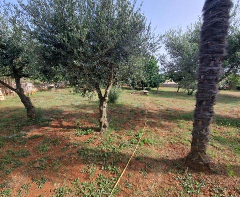 House with garage and large garden in Poreč, for fair price - pic 4