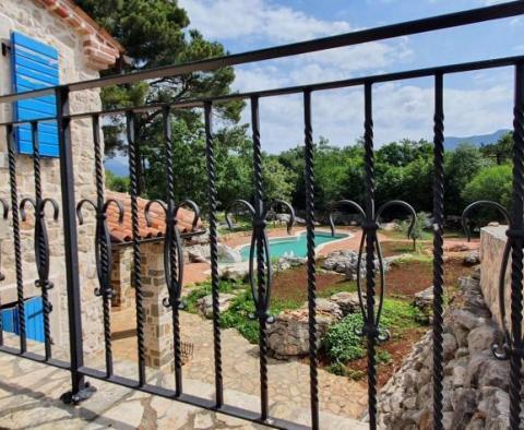 A stone beautiful villa with a swimming pool in Krsan, 5 km from the sea - pic 53
