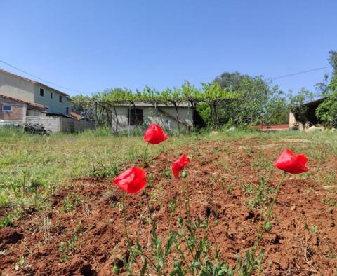 Maison à Fažana sur un grand terrain de 3561 m². ca. A 2 km de la mer - pic 11