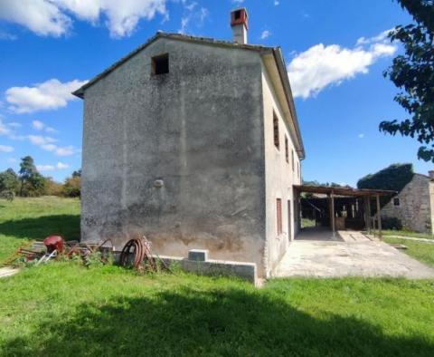 Anwesen von 9300 qm. mit zwei renovierungsbedürftigen Häusern in Svetvinčenat - foto 3