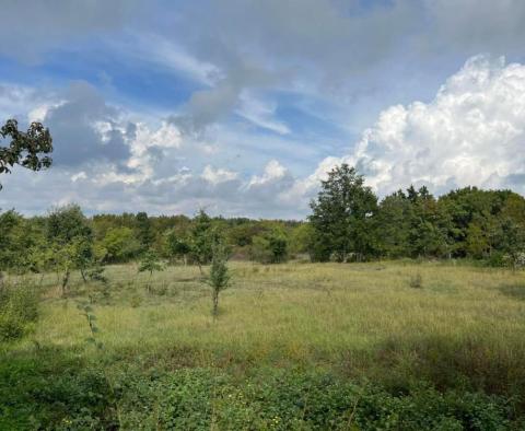 Anwesen von 9300 qm. mit zwei renovierungsbedürftigen Häusern in Svetvinčenat - foto 4