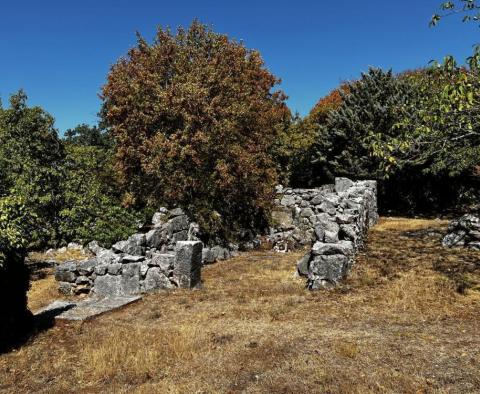 Altes Steinhaus auf großem Grundstück, Krk - foto 41