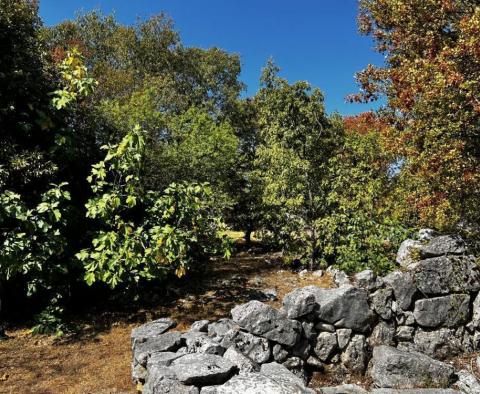 Altes Steinhaus auf großem Grundstück, Krk - foto 42