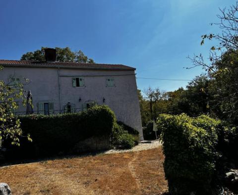 Altes Steinhaus auf großem Grundstück, Krk - foto 44