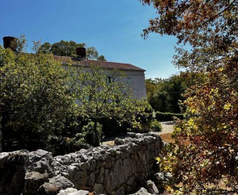 Altes Steinhaus auf großem Grundstück, Krk - foto 59