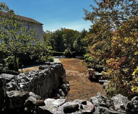 Altes Steinhaus auf großem Grundstück, Krk - foto 60