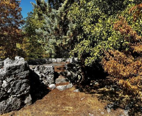 Altes Steinhaus auf großem Grundstück, Krk - foto 62