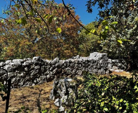 Altes Steinhaus auf großem Grundstück, Krk - foto 64