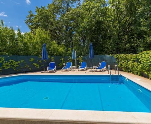 Two semi-detached villas with one pool, Krk - pic 6