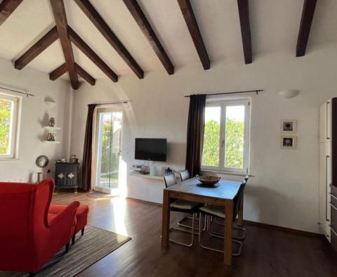 Villa pour mini-hôtel avec 12 chambres et une piscine, Bale - pic 18