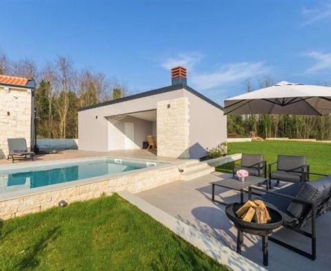 Luxury stone villa in Poreč with distant Adriatic sea views - pic 6