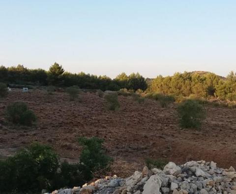 Agroland von mehr als 1,5 Hektar in der Region Vodice, großes Potenzial - foto 2