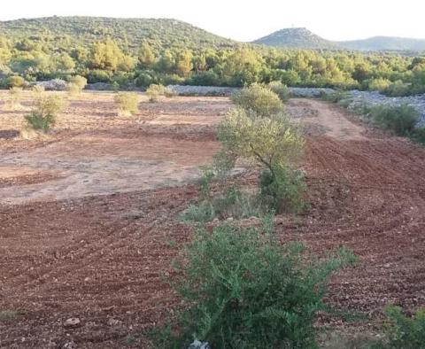 Agroland von mehr als 1,5 Hektar in der Region Vodice, großes Potenzial - foto 6
